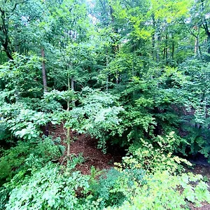 Apartament Forest - 23 Marca By Grand, Sopot